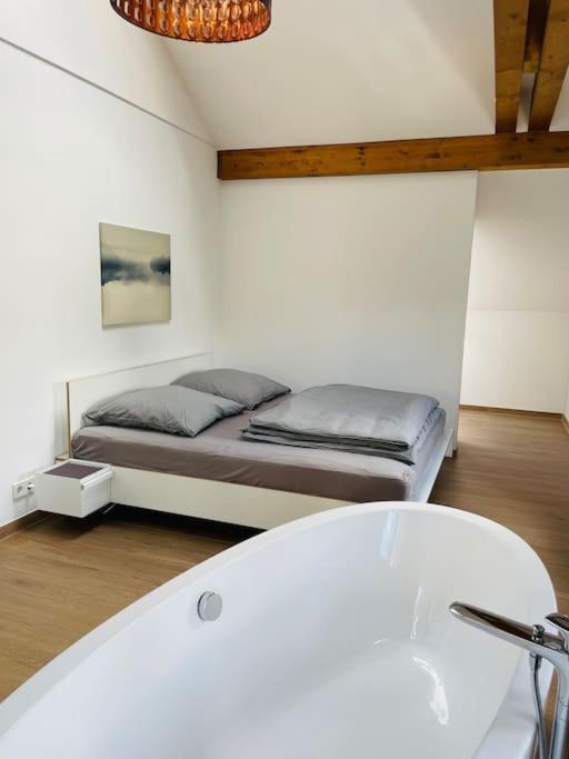 Traumvilla Im Herzen Hainichens Extérieur photo