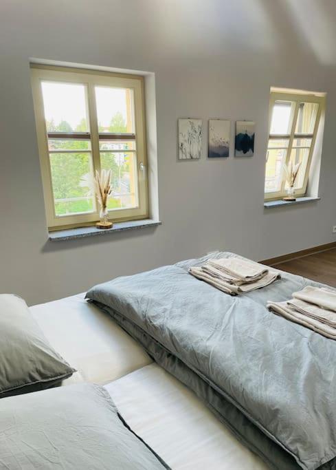 Traumvilla Im Herzen Hainichens Extérieur photo